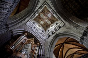 st davids cathedral roof sm.jpg